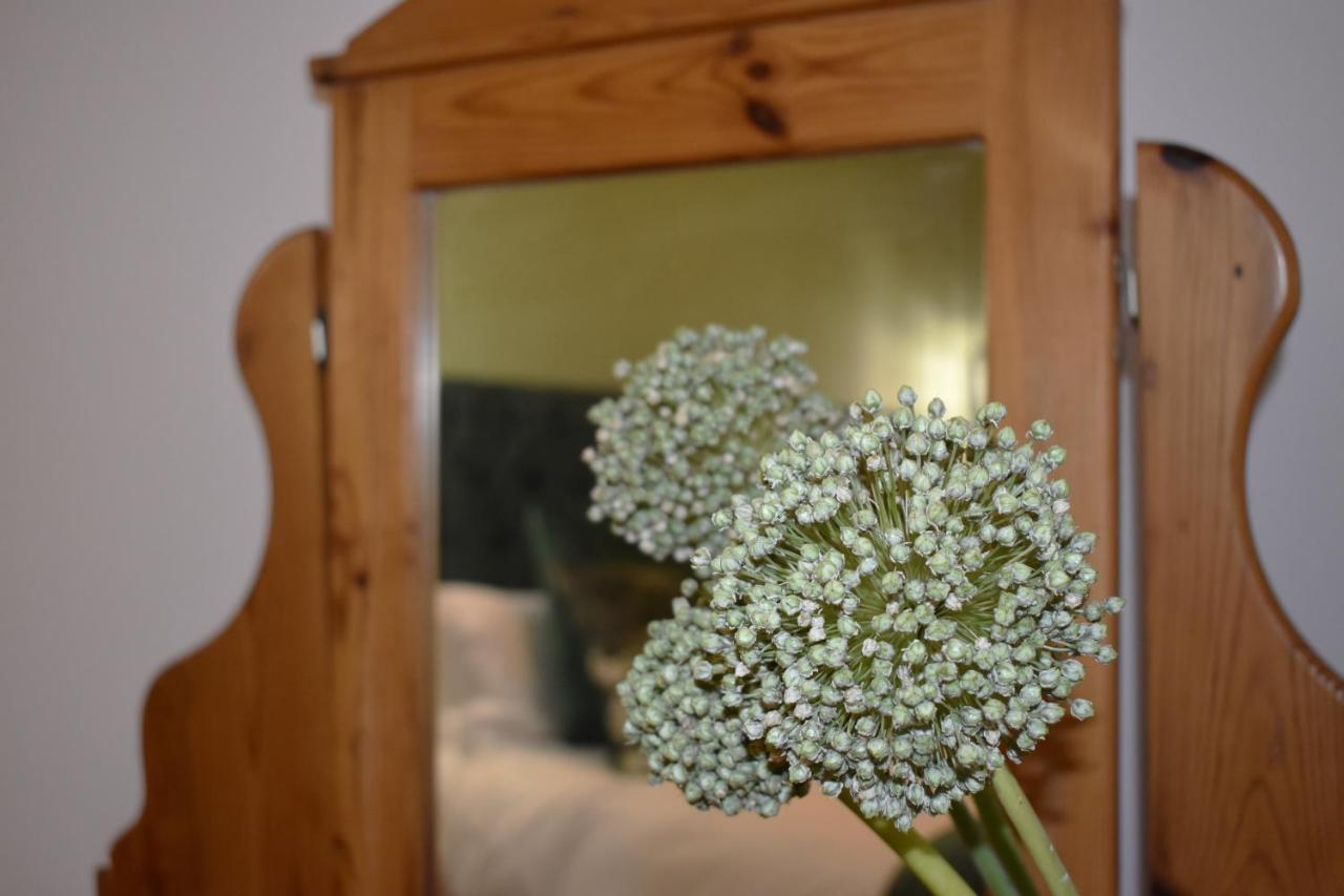 サマーセット・ウェストThe Botanical Houseアパートメント エクステリア 写真