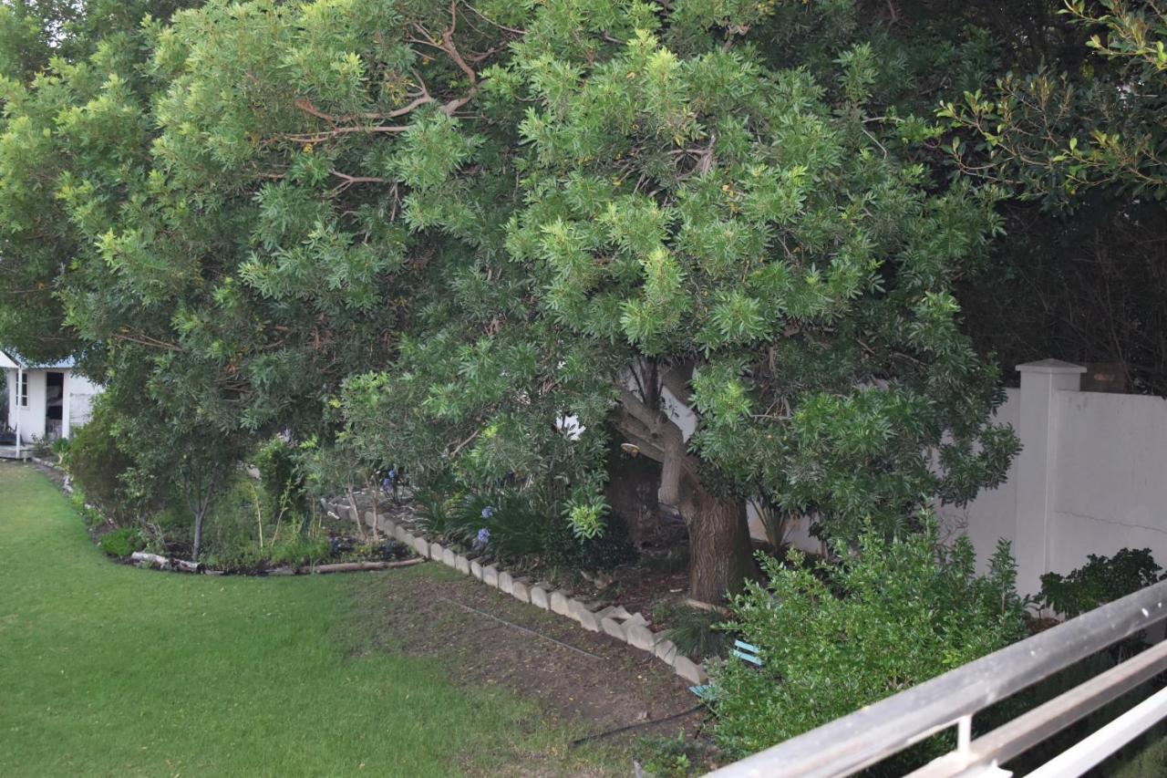 サマーセット・ウェストThe Botanical Houseアパートメント エクステリア 写真